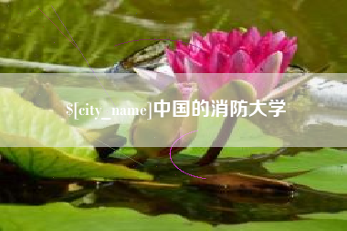 醴陵中国的消防大学