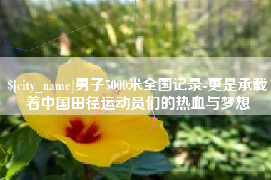 醴陵男子5000米全国记录-更是承载着中国田径运动员们的热血与梦想