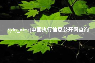 醴陵中国执行信息公开网查询