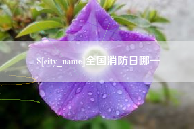 醴陵全国消防日哪一