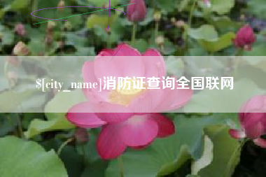 醴陵消防证查询全国联网
