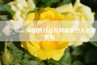 醴陵中国执行公开网被执行人名单查询
