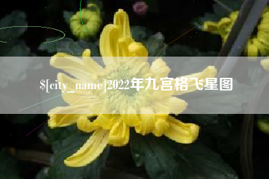 醴陵2022年九宫格飞星图