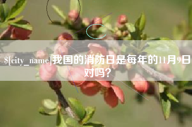 醴陵我国的消防日是每年的11月9日对吗？