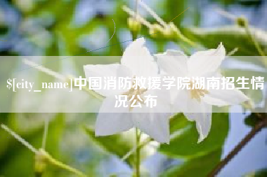 醴陵中国消防救援学院湖南招生情况公布