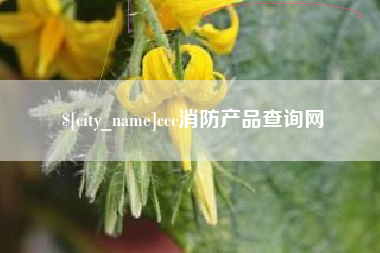 醴陵ccc消防产品查询网
