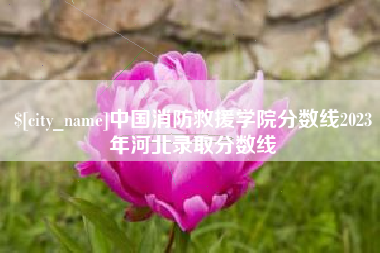 醴陵中国消防救援学院分数线2023年河北录取分数线
