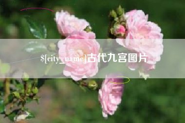 醴陵古代九宫图片