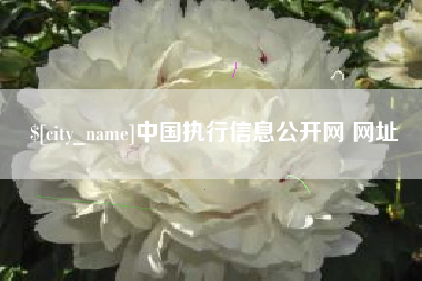 醴陵中国执行信息公开网 网址