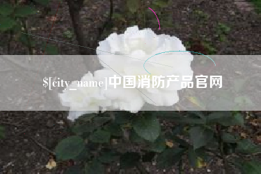 醴陵中国消防产品官网