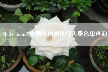 醴陵中国失信被执行人员名单查询