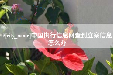 醴陵中国执行信息网查到立案信息怎么办