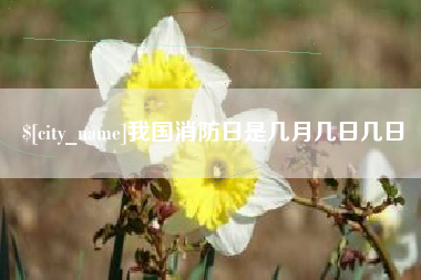醴陵我国消防日是几月几日几日