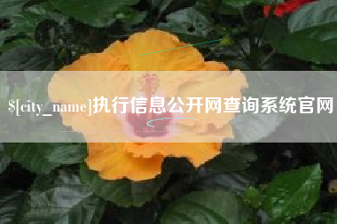 醴陵执行信息公开网查询系统官网