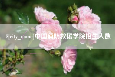 醴陵中国消防救援学院招生人数