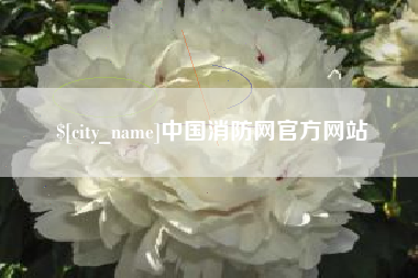 醴陵中国消防网官方网站