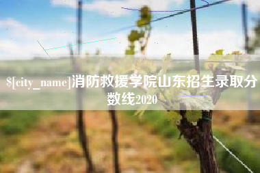 醴陵消防救援学院山东招生录取分数线2020