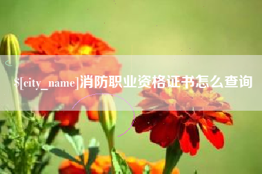 醴陵消防职业资格证书怎么查询