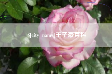 醴陵王子豪百科
