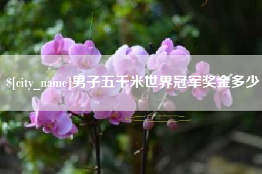 醴陵男子五千米世界冠军奖金多少