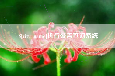 醴陵执行公告查询系统