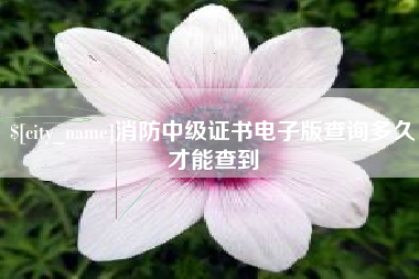 醴陵消防中级证书电子版查询多久才能查到