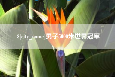 醴陵男子5000米世界冠军
