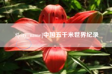 醴陵中国五千米世界纪录