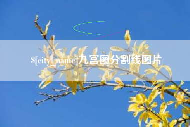 醴陵九宫图分割线图片