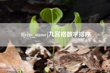 醴陵九宫格数字排序