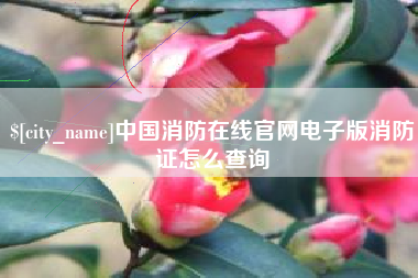 醴陵中国消防在线官网电子版消防证怎么查询