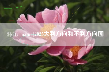 醴陵2025大利方向和不利方向图