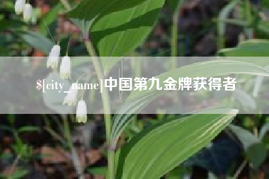 醴陵中国第九金牌获得者