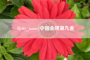 醴陵中国金牌第九金