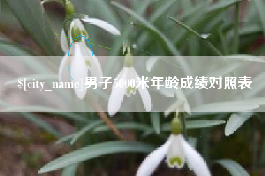 醴陵男子5000米年龄成绩对照表