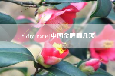 醴陵中国金牌哪几项