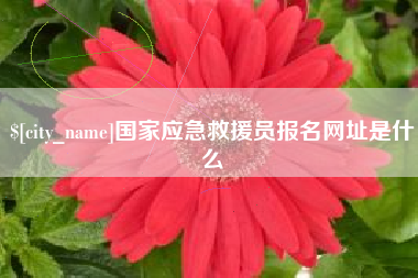 醴陵国家应急救援员报名网址是什么