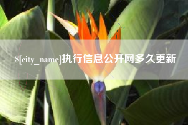 醴陵执行信息公开网多久更新