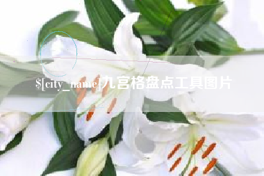 醴陵九宫格盘点工具图片