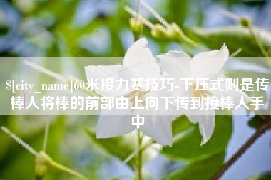 醴陵60米接力赛技巧-下压式则是传棒人将棒的前部由上向下传到接棒人手中