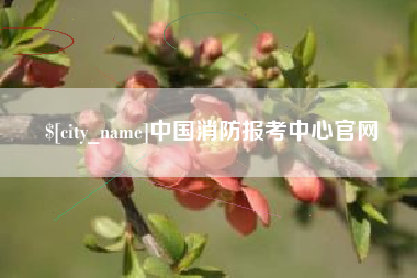 醴陵中国消防报考中心官网