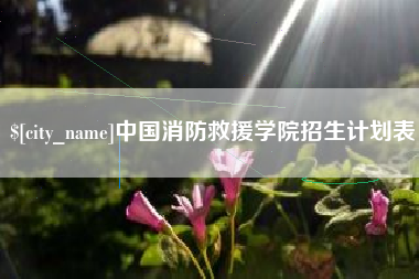 醴陵中国消防救援学院招生计划表