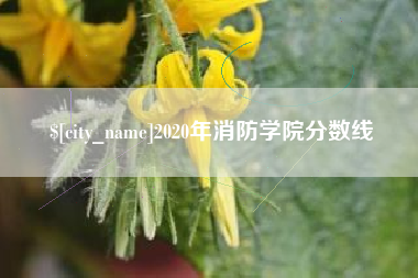 醴陵2020年消防学院分数线