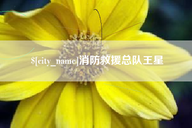 醴陵消防救援总队王星