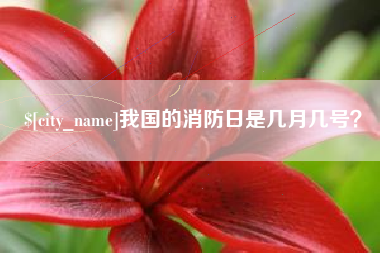 醴陵我国的消防日是几月几号？
