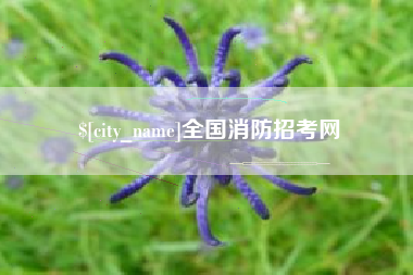 醴陵全国消防招考网