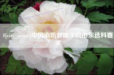 醴陵中国消防救援学院山东选科要求