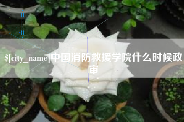 醴陵中国消防救援学院什么时候政审