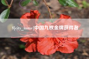 醴陵中国九枚金牌获得者
