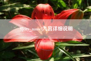 醴陵九宫详细说明